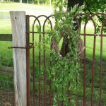 Gate - Sweet Seasons Farm Gate - Sweet Seasons Farm