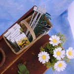 Potting Bench by Kathryn Depew - Accessories in Basket & Daisies