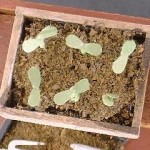 Potting Bench by Kathryn Depew - Top