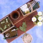 Potting Bench by Kathryn Depew - Top View