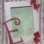 8. Shadow Box E Completed 8. Shadow Box E Completed