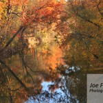 Flint River in Autumn Huntsville, AL