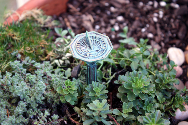 http://cottonridgellc.com/wp-content/uploads/2012/06/Miniature-Garden-in-12-Inch-Pot-Sundial-View.jpg