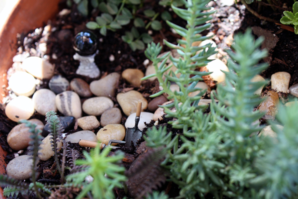 Creating a Tiered Living Miniature Garden With A Pot Stacker ~ Part 1