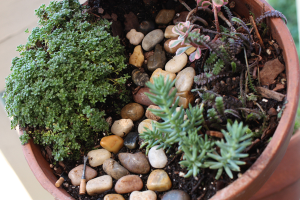 Creating a Tiered Living Miniature Garden With A Pot Stacker ~ Part 1