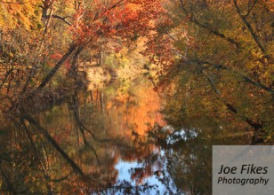Flint River in Autumn Huntsville, AL by Joe Fikes