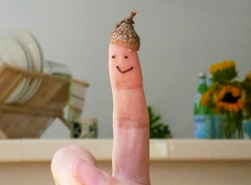 Acorn Finger Hand Puppet by suzylagasa on flickr