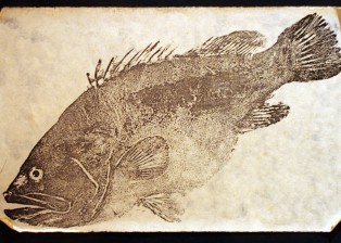 Gyotaku Art Fish Print by J.G. Wang