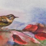 Carolina Wren by Claudette Pridemore of Foxhill Studios