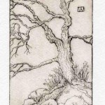 Tree Etching by Andrea Wilson